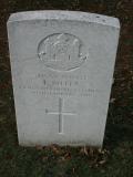 image of grave number 228527